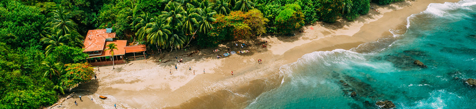 Um litoral tropical visto de cima, com uma praia de areia e palmeiras exuberantes.